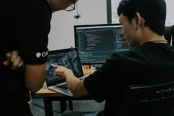 Software Development